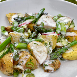 Sommersalat mit Kartoffeln, Spargel, Radieschen und Dill in einer cremigen Sauce auf einem weißen Teller.